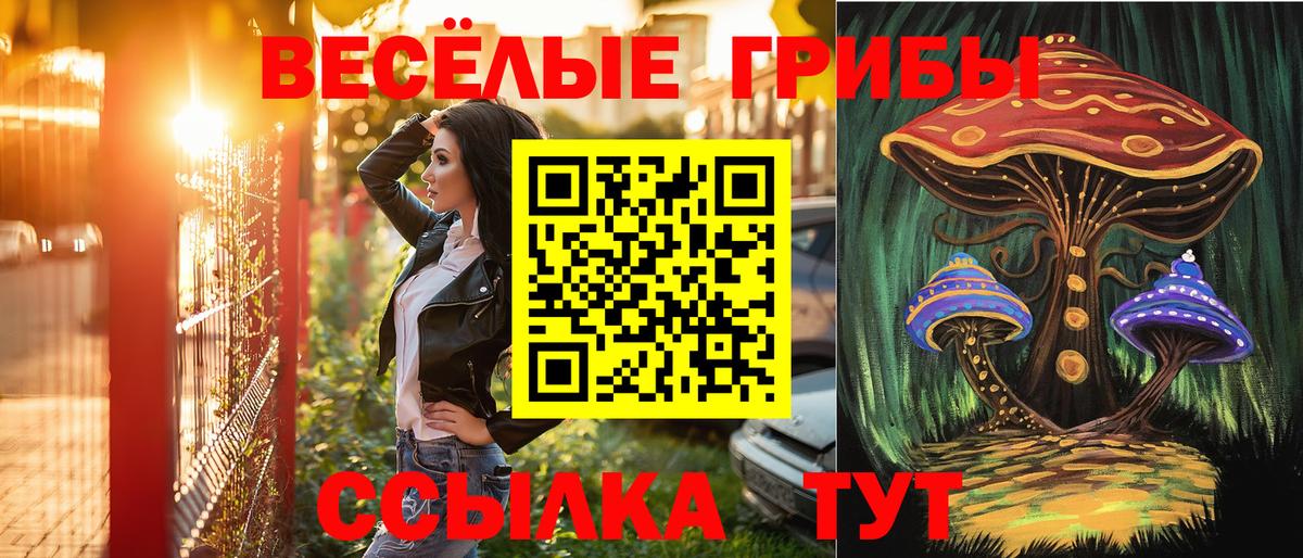 Галлюциногенные грибы мицелий Балахна