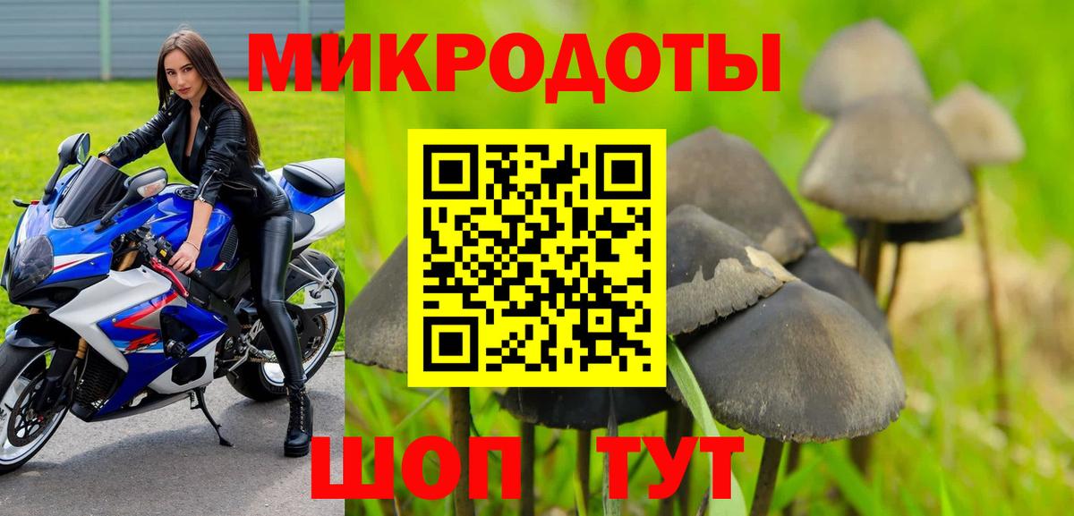 Псилоцибиновые грибы Magic Shrooms  Вход с VPN  Псилоцибиновые грибы Magic Shrooms  Балахна 